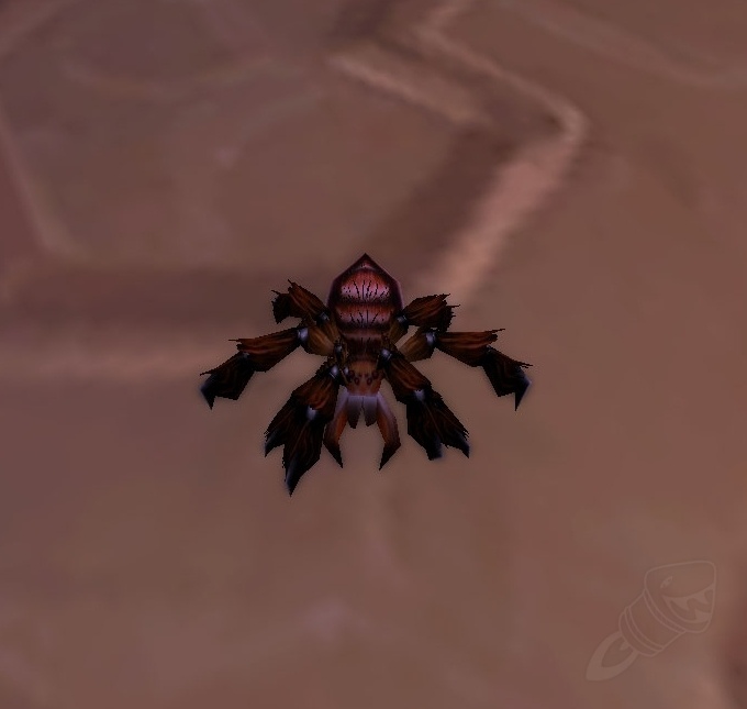 Marsh Spiderling NPC World of Warcraft
