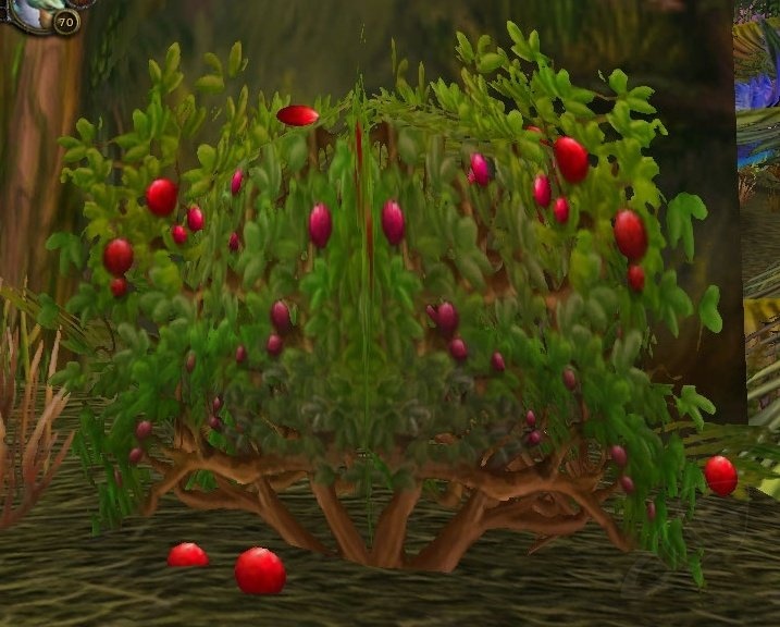 Mana Berry - Item - TBC Classic
