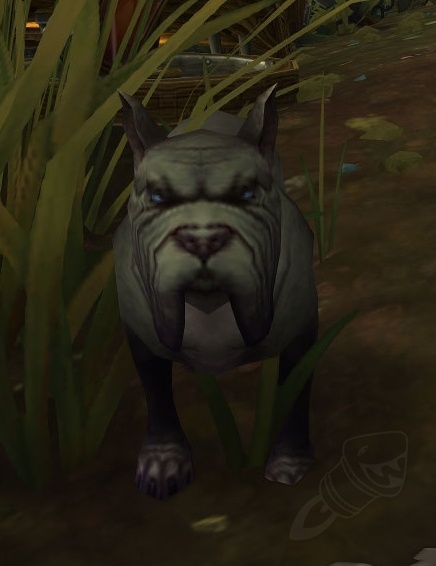 Hunting Mastiff - NPC - World of Warcraft