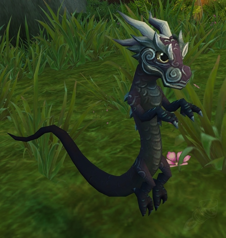 Infinite Drake Hatchling pet