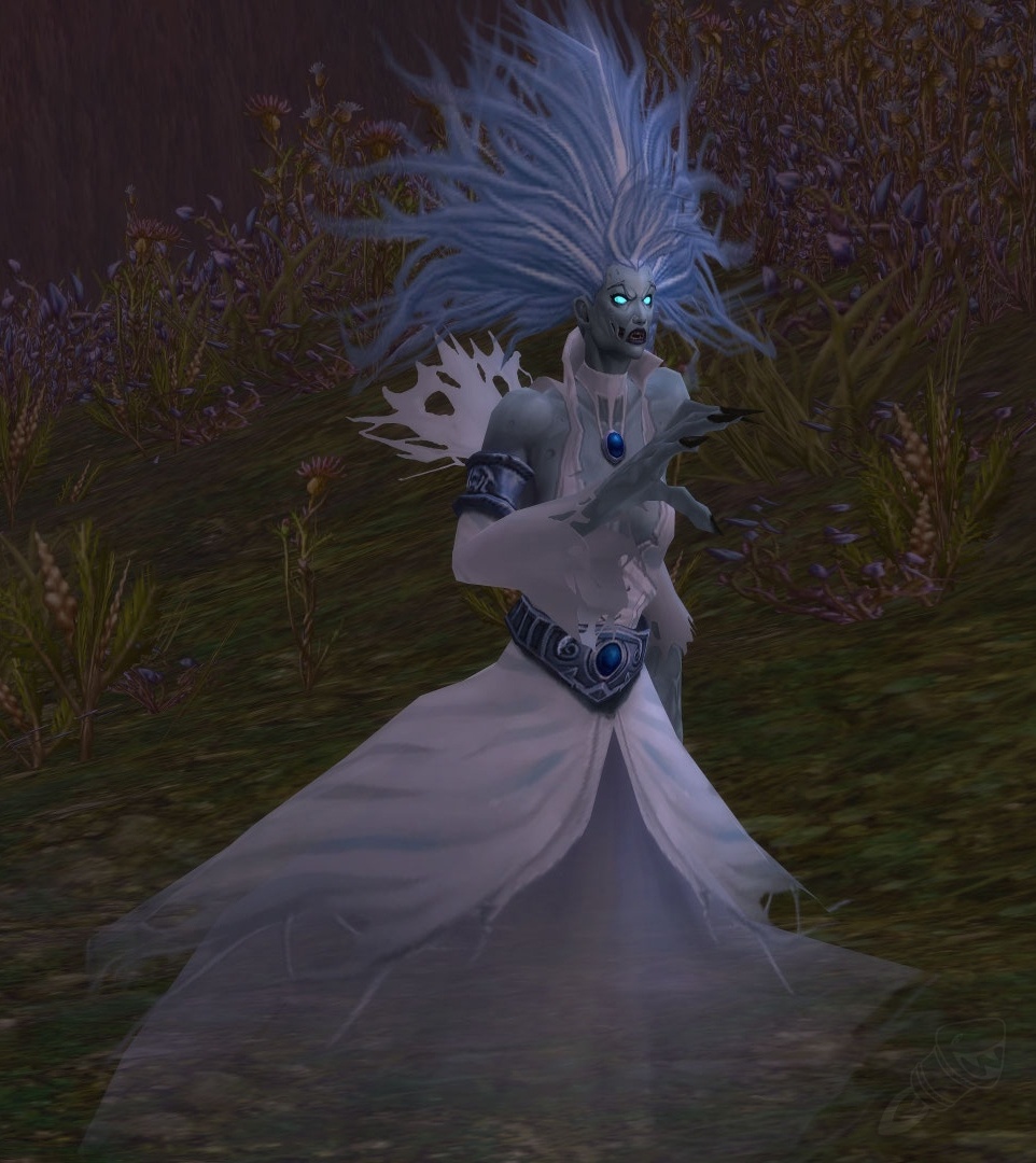 Tormented Spirit NPC World of Warcraft