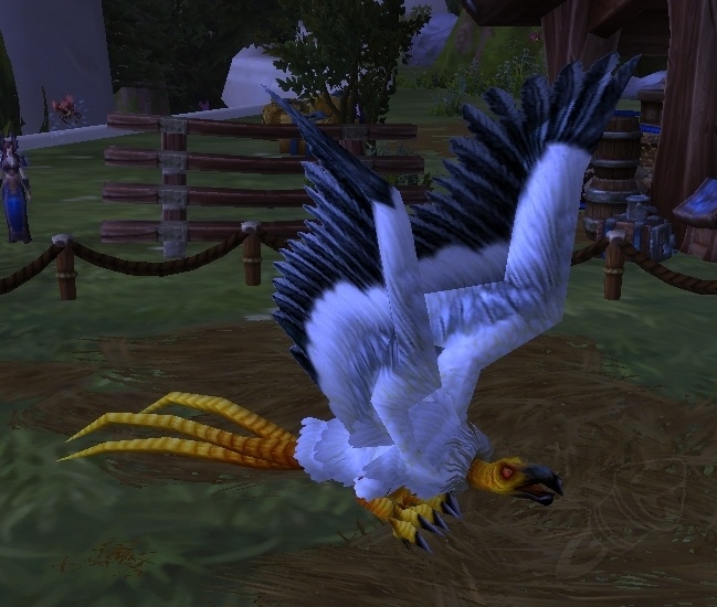 Águila ratonera albina - PNJ - World of Warcraft