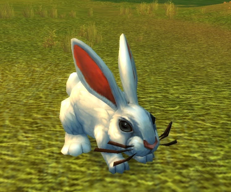 Rabbit NPC World of Warcraft