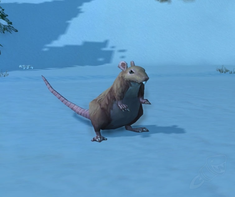 Dig Rat