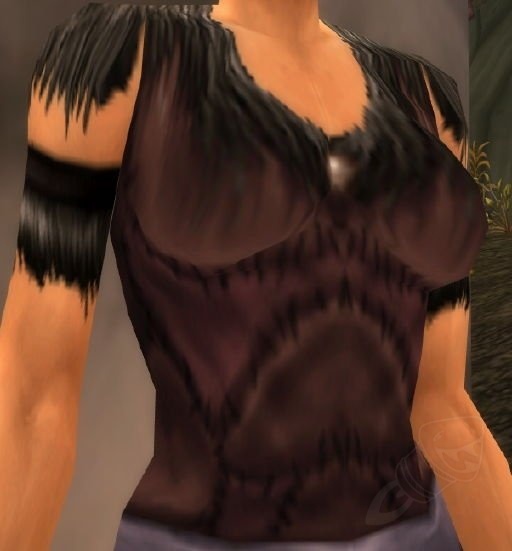 Chest of the Wyrmcult Item World of Warcraft