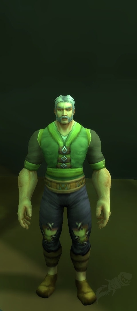 Hadgar Vétéran de guerre hagard - PNJ - World of Warcraft