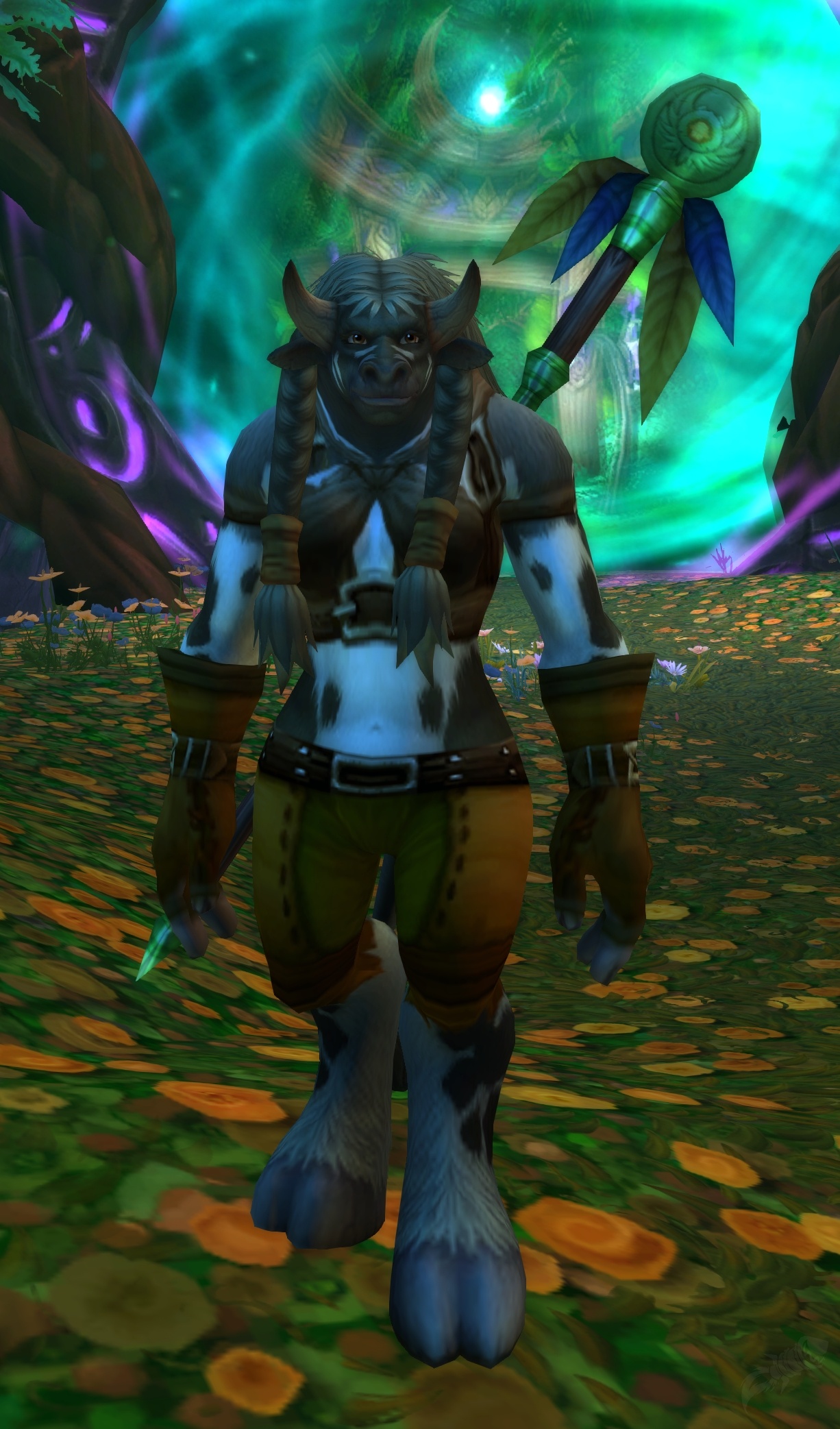 Bashana runetotem location