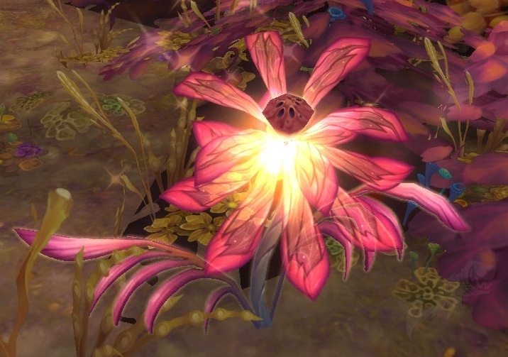 Варкрафт стамина. Азиатская интрига орхидея. Dreaming glory. 3. Фаленопсис калипсо.