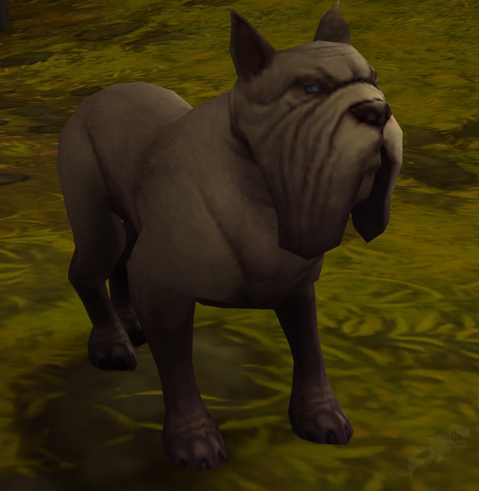 Hound - NPC - World Of Warcraft