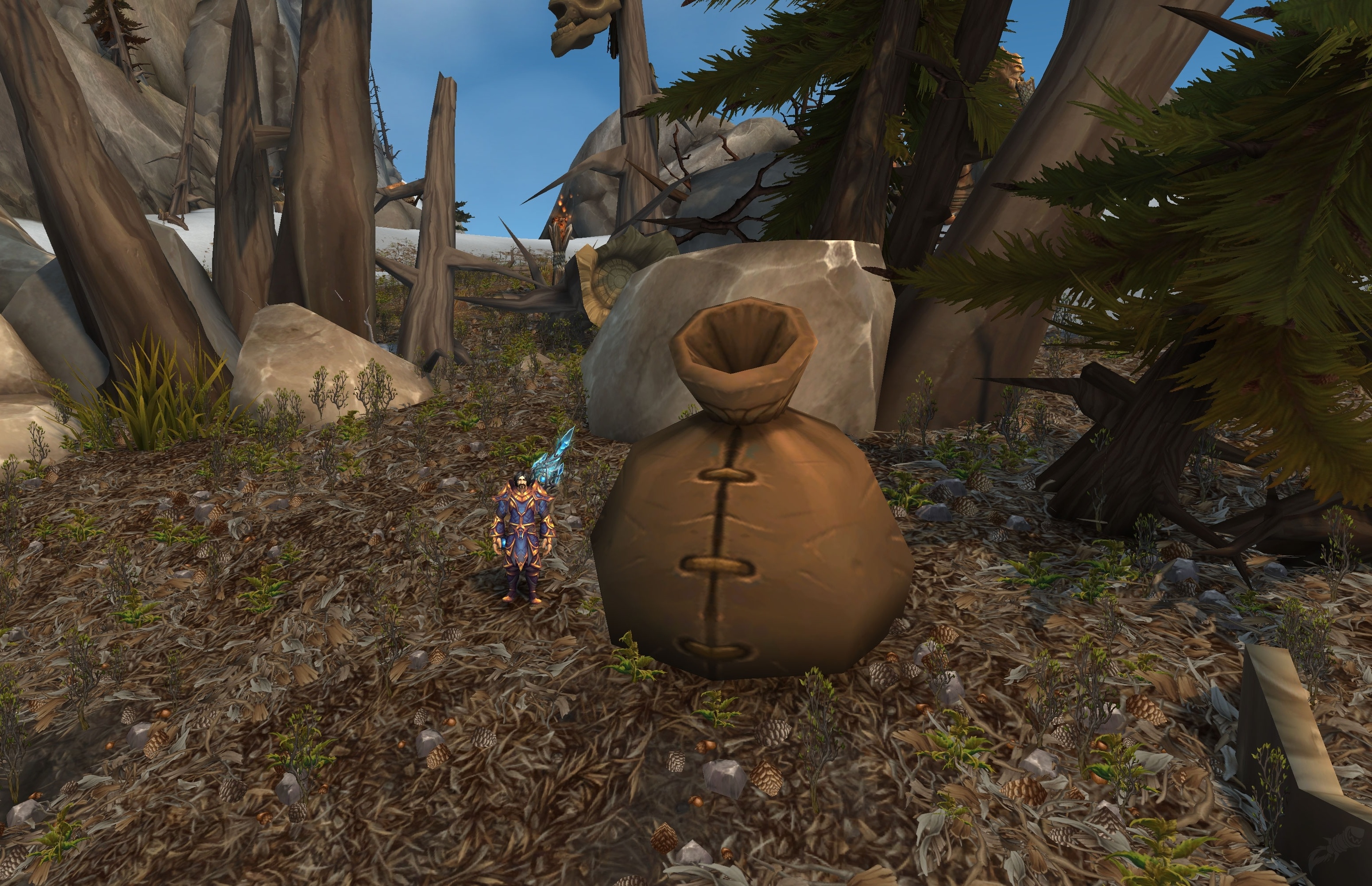 Mammoth Skin Bag Object World of Warcraft