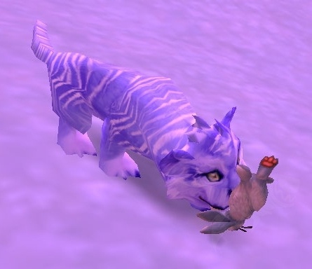 small quest hunter small quest hunter