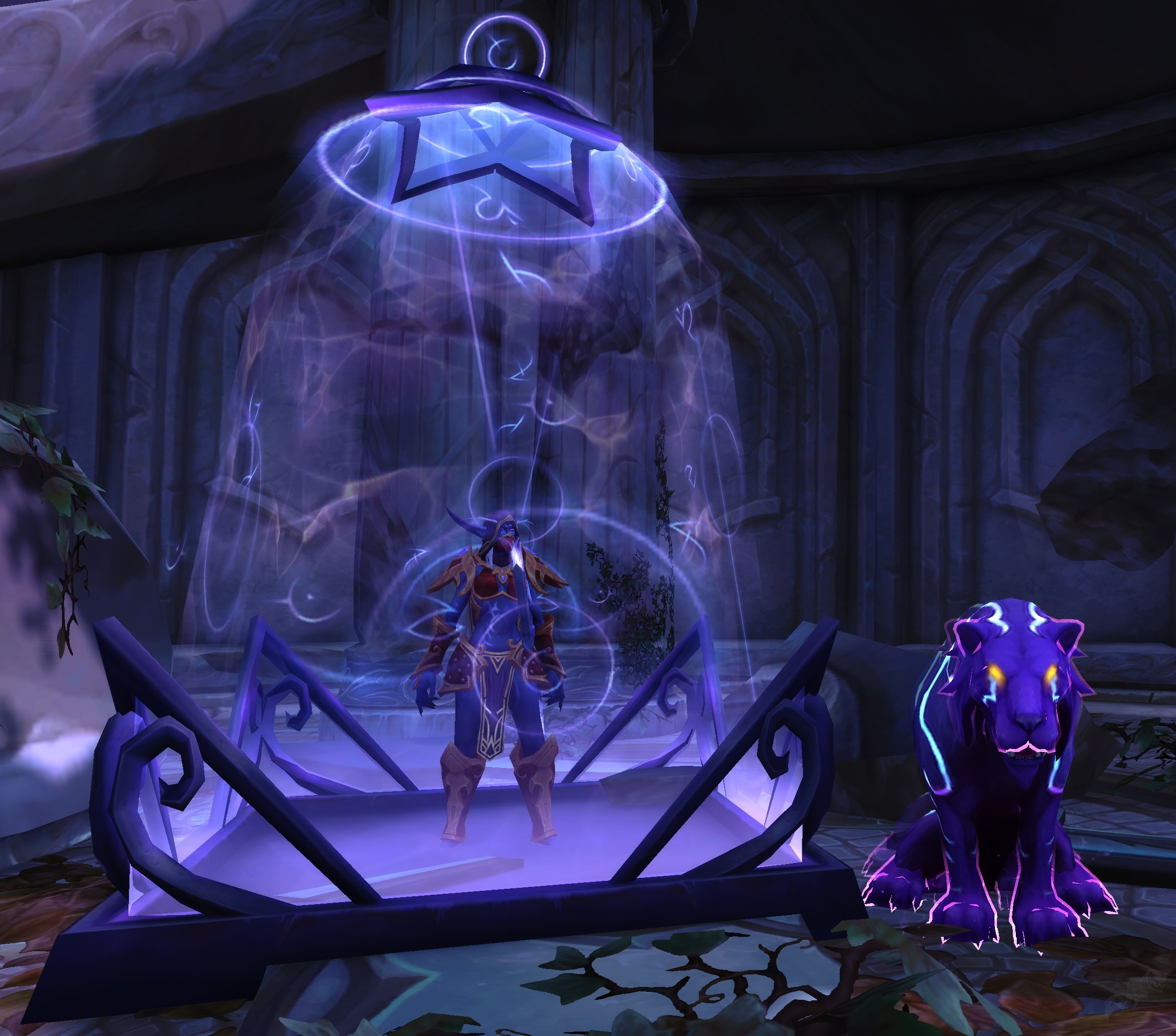 The Nighthuntress Beckons Quest World of Warcraft