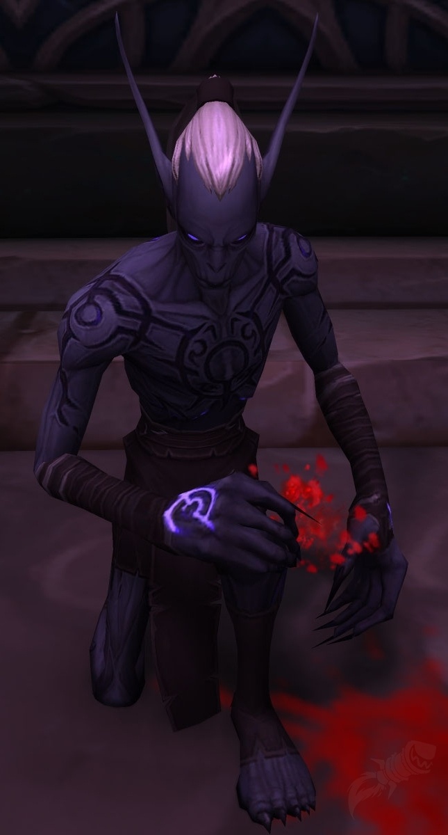 Arcanist Naran - NPC - World of Warcraft