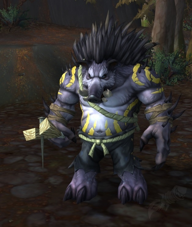 Portagarrote Erizapúas PNJ World of Warcraft