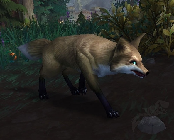 Wow Fox Guide – Discipline Priest Healer Guide – LNMDE