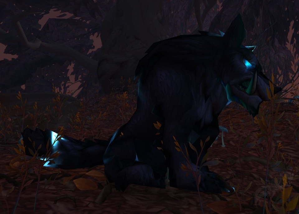 Loup alpha maléficié - PNJ - World of Warcraft