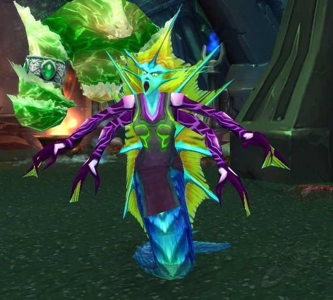 Coilskar SeaCaller NPC TBC Classic