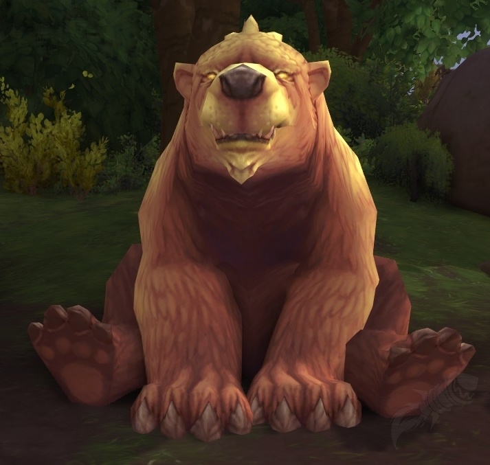 Honey Bear - NPC - World of Warcraft