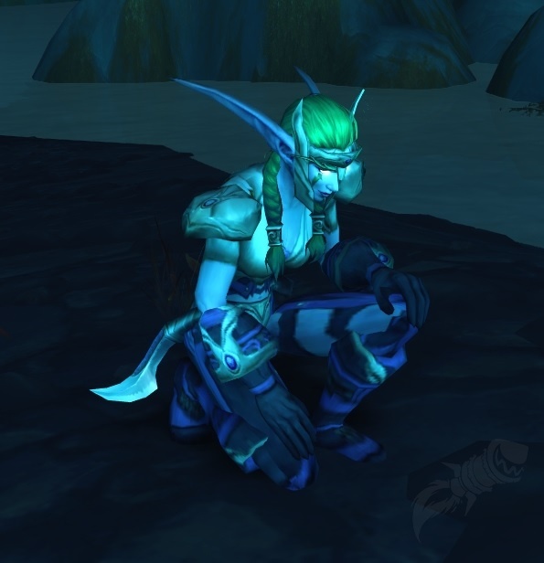 Sentinel Shadowblade NPC World of Warcraft