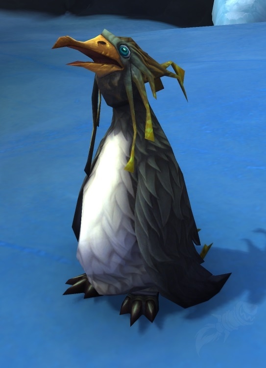 Racing Pengling Npc World Of Warcraft