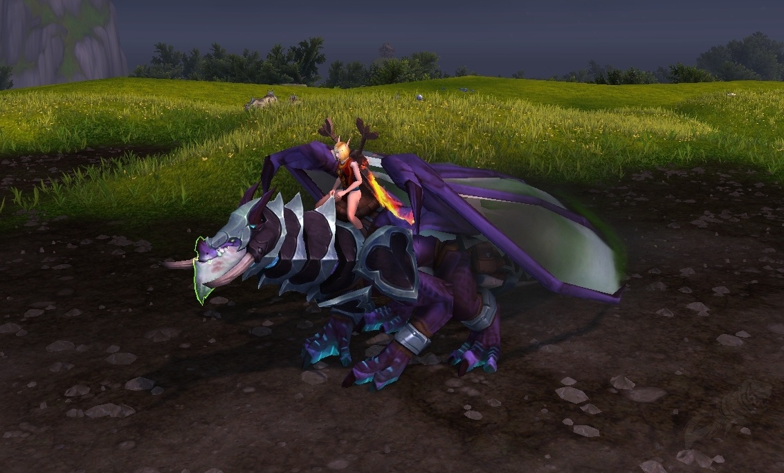 5. Крылья пустоты драконы 3. Яйцо из стаи крыльев пустоты. Яйцо дракона из стаи. Яйца дракона пустоты.