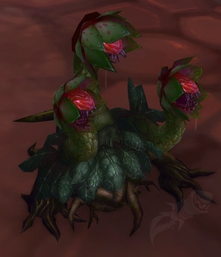 Fleur du désert - PNJ - World of Warcraft