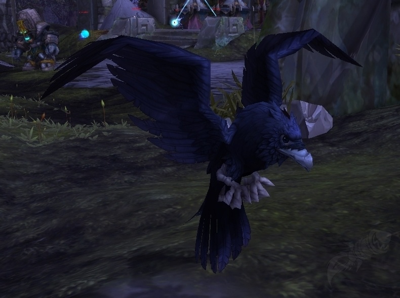 Corbeau œil Sombre Pnj World Of Warcraft