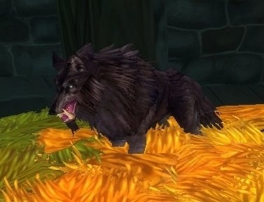 Wolfguard Worg - NPC - WotLK Classic