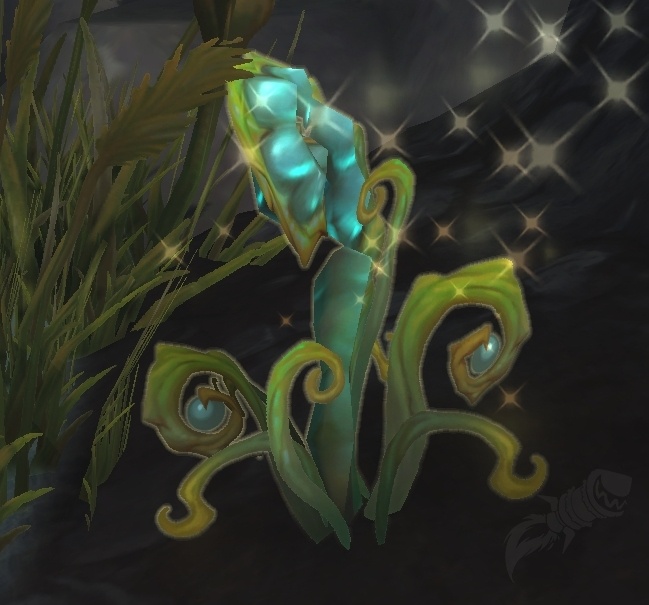 Rio Wow