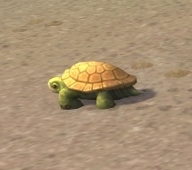 Juvenile Turtle - NPC - World of Warcraft