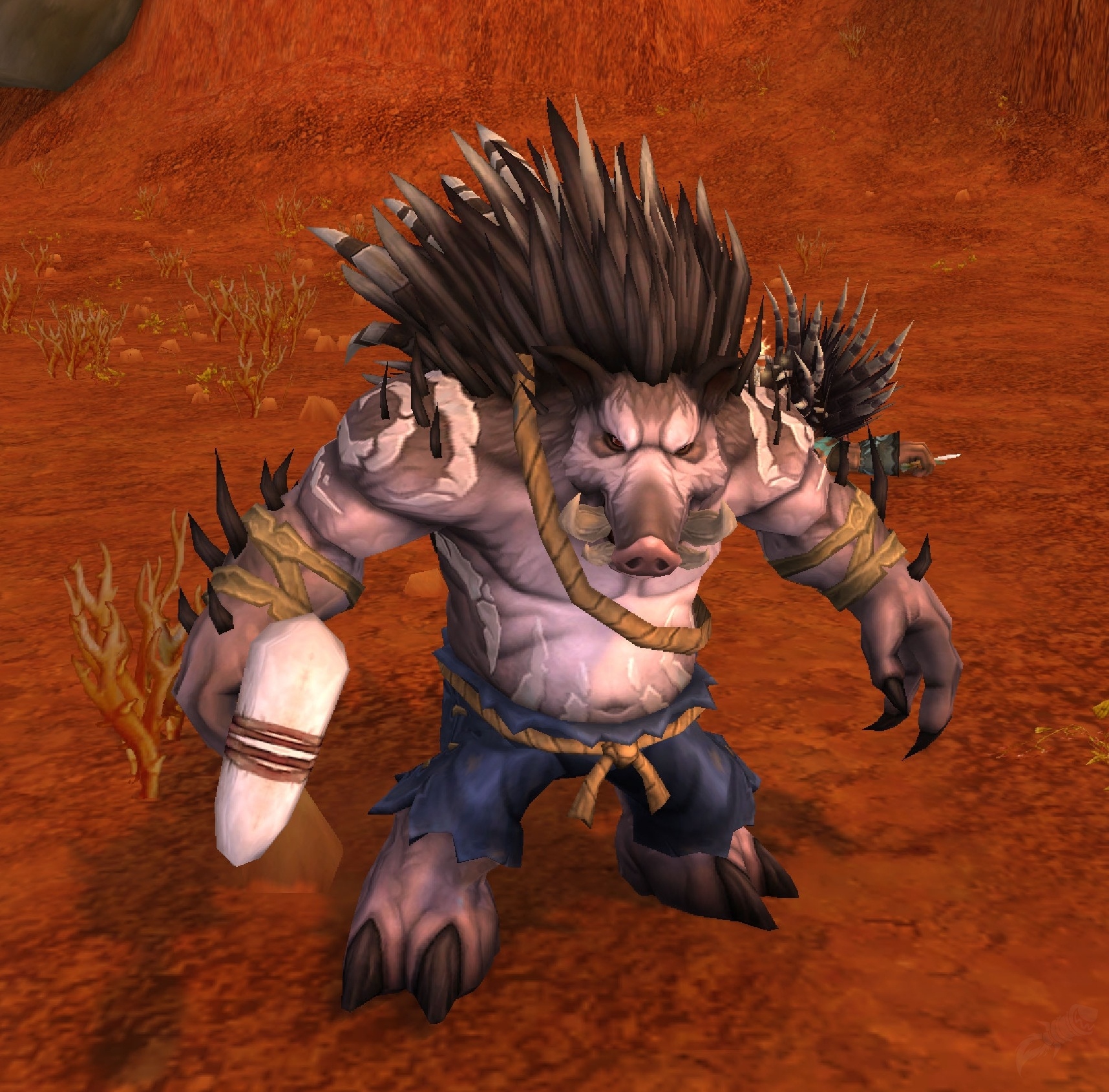 Razormane Quilboar - NPC - World of Warcraft