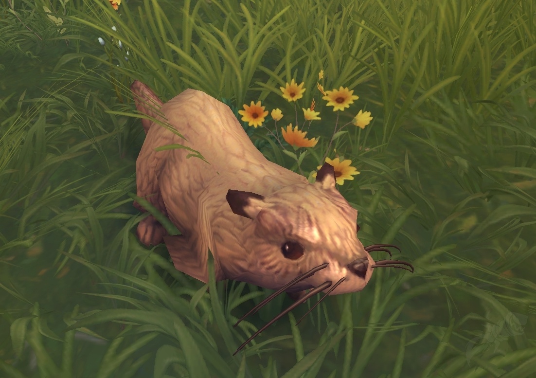 River Otter - NPC - World of Warcraft