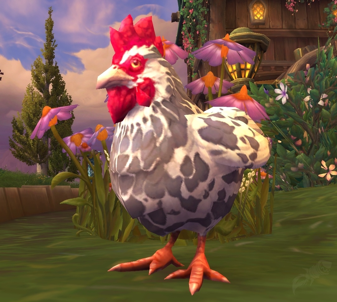 Valley Chicken - NPC - World of Warcraft