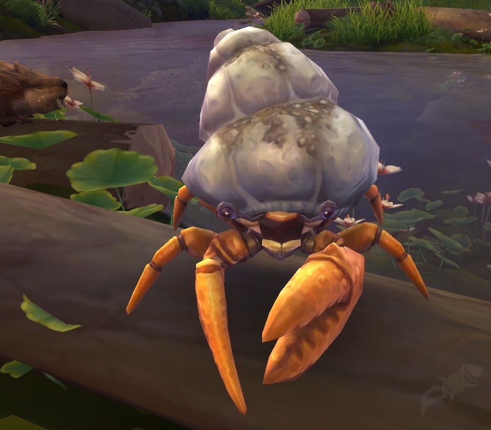 Einsiedlerkrebs Npc World Of Warcraft