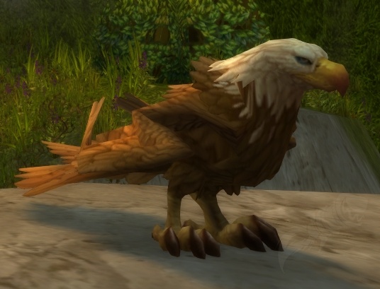 Águila dorada - PNJ - World of Warcraft
