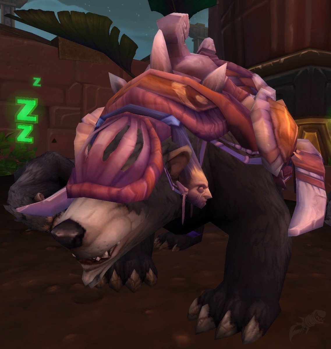 Amani war bear tbc