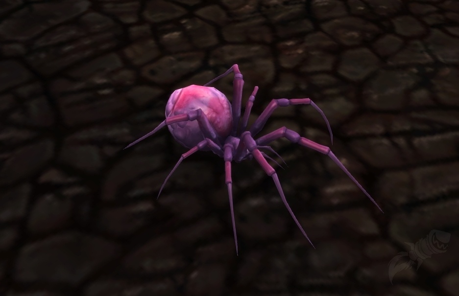 Zwielichtspinne NPC World Of Warcraft