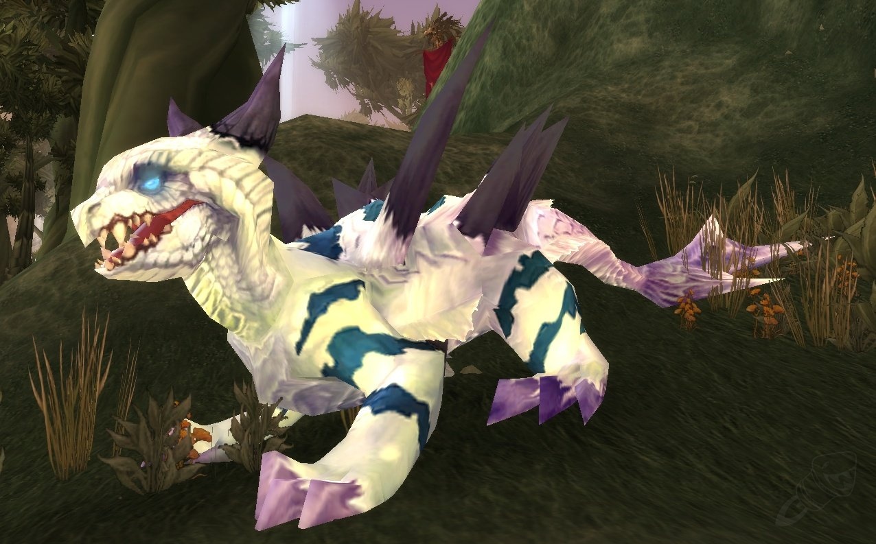 blackwind warp chaser blackwind warp chaser