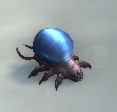 Bloodfeaster Larva - Item - World of Warcraft