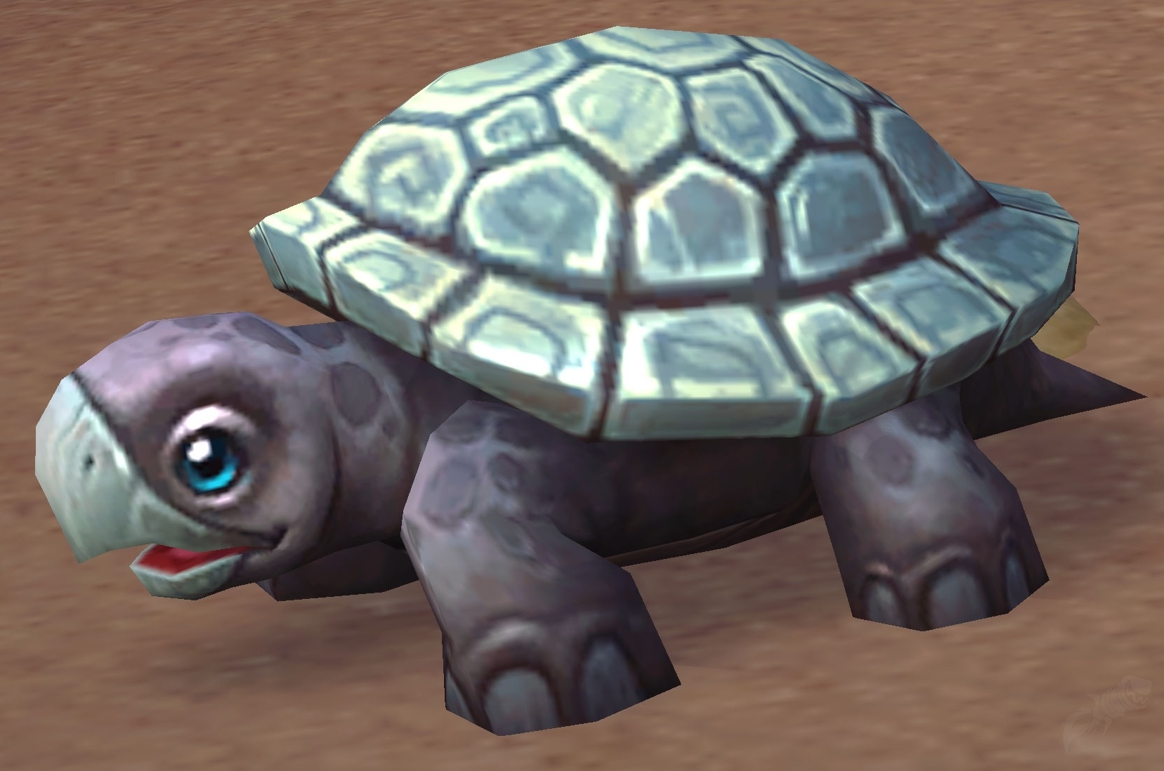 wow seaturtle