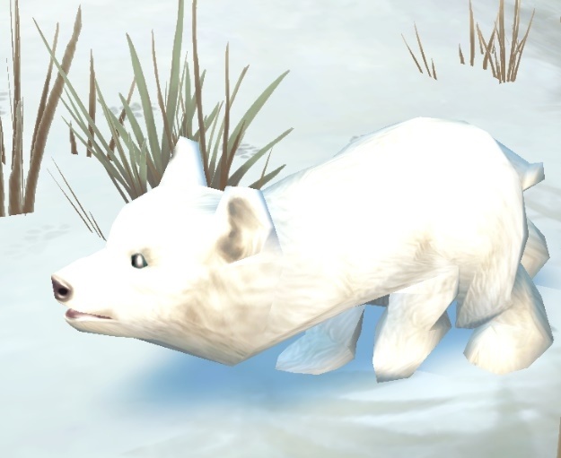 indsigelse Sidelæns margen Tome of Polymorph: Polar Bear Cub - Item - World of Warcraft