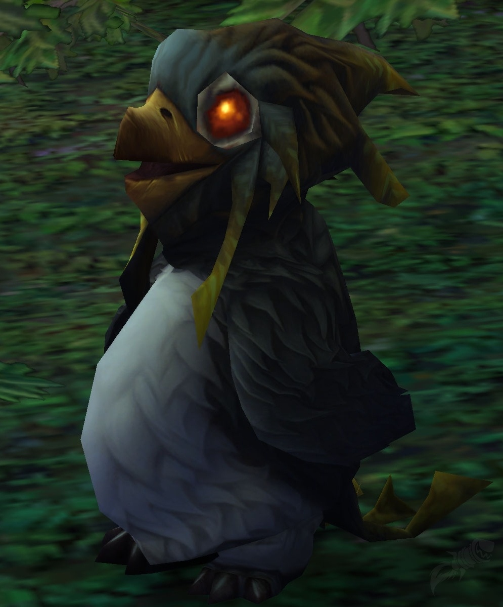 Jabot PNJ World of Warcraft