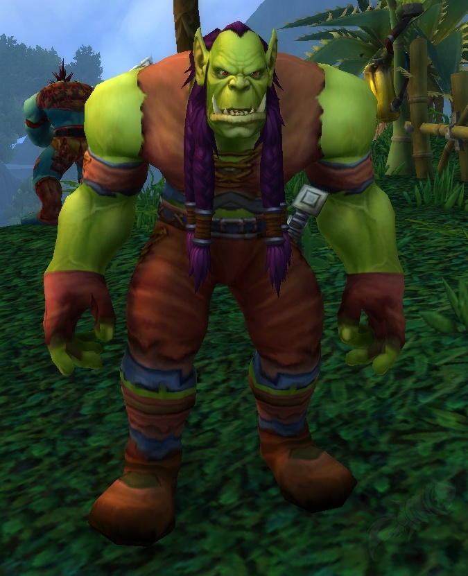 Survivant Orc Pnj World Of Warcraft