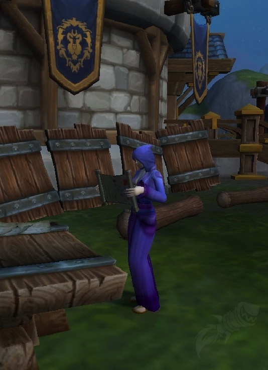 Lehrling des Zirkels NPC World of Warcraft