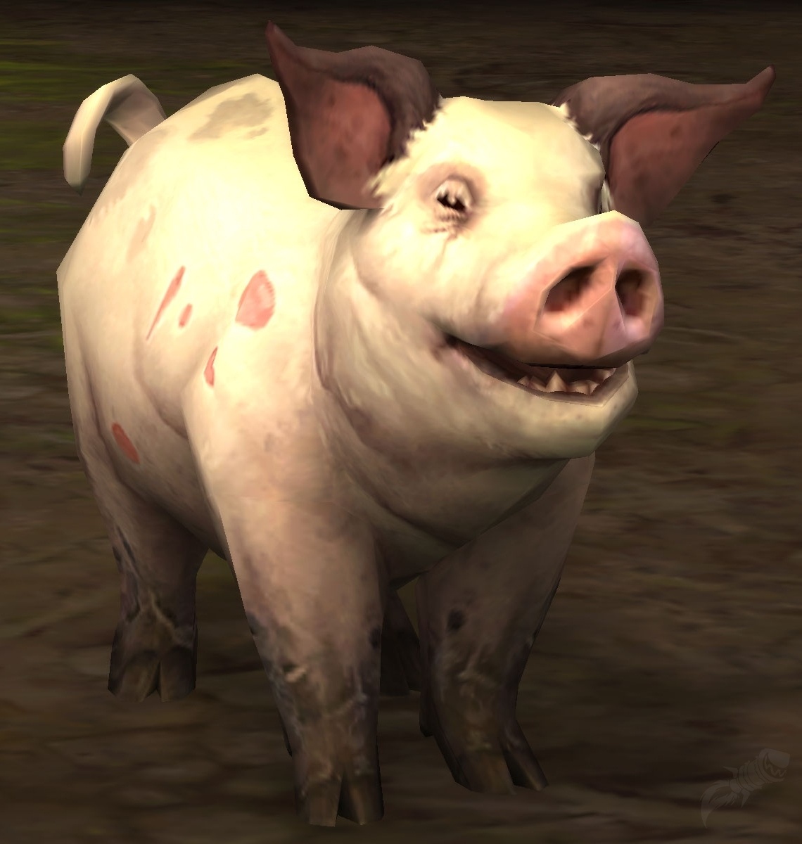 Свинья — это NPC 3-го ур. можно найти в следующих зонах: Друствар. 
