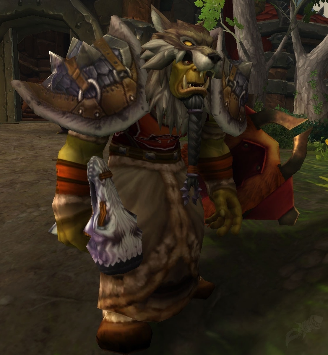 Horde Shaman NPC World of Warcraft