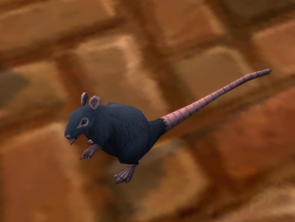 Stormwind Rat NPC World of Warcraft