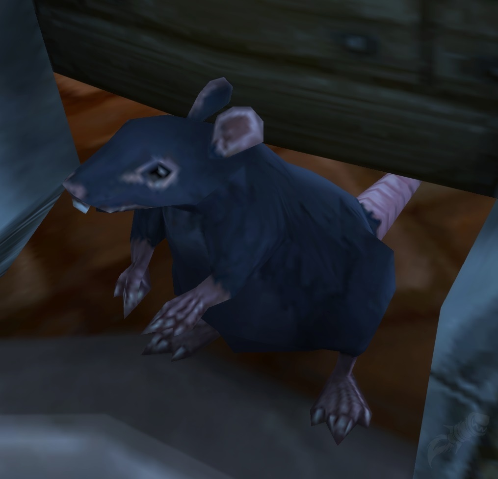 Rato Gigante de Esgoto - Item - WotLK Classic