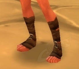 Grizzly Slippers - Item - World of