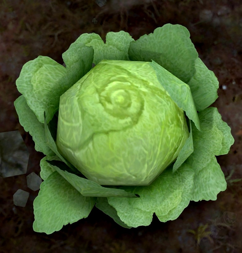 Ripe Green Cabbage NPC World of Warcraft